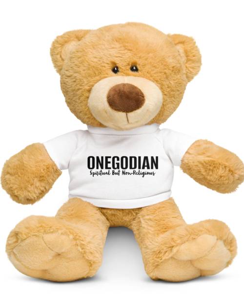 Teddy bear with a t-shirt