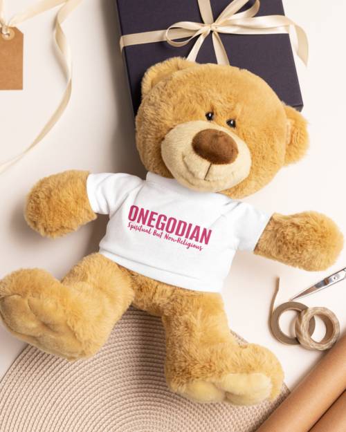 Teddy bear with a t-shirt